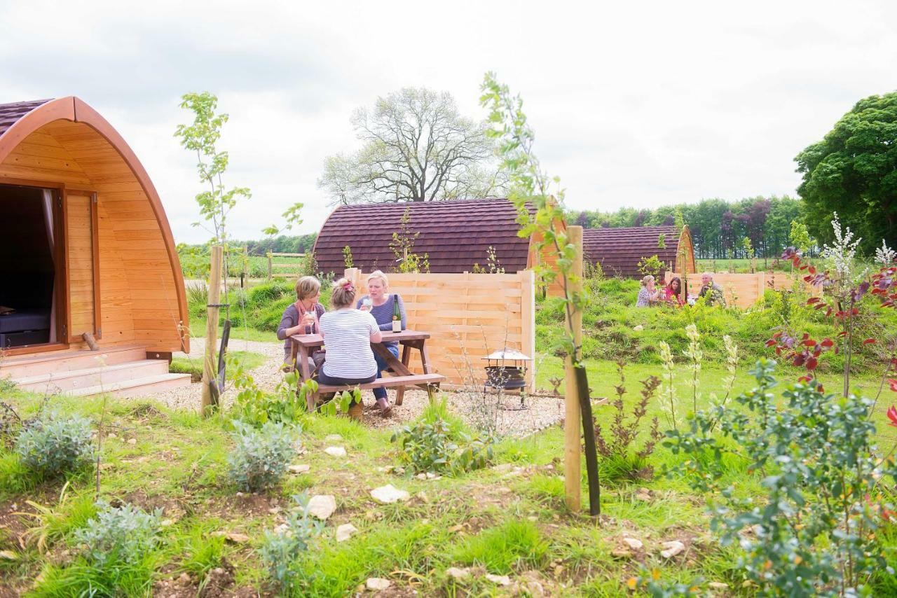 Mallow Glamping Pod Cheltenham Bagian luar foto