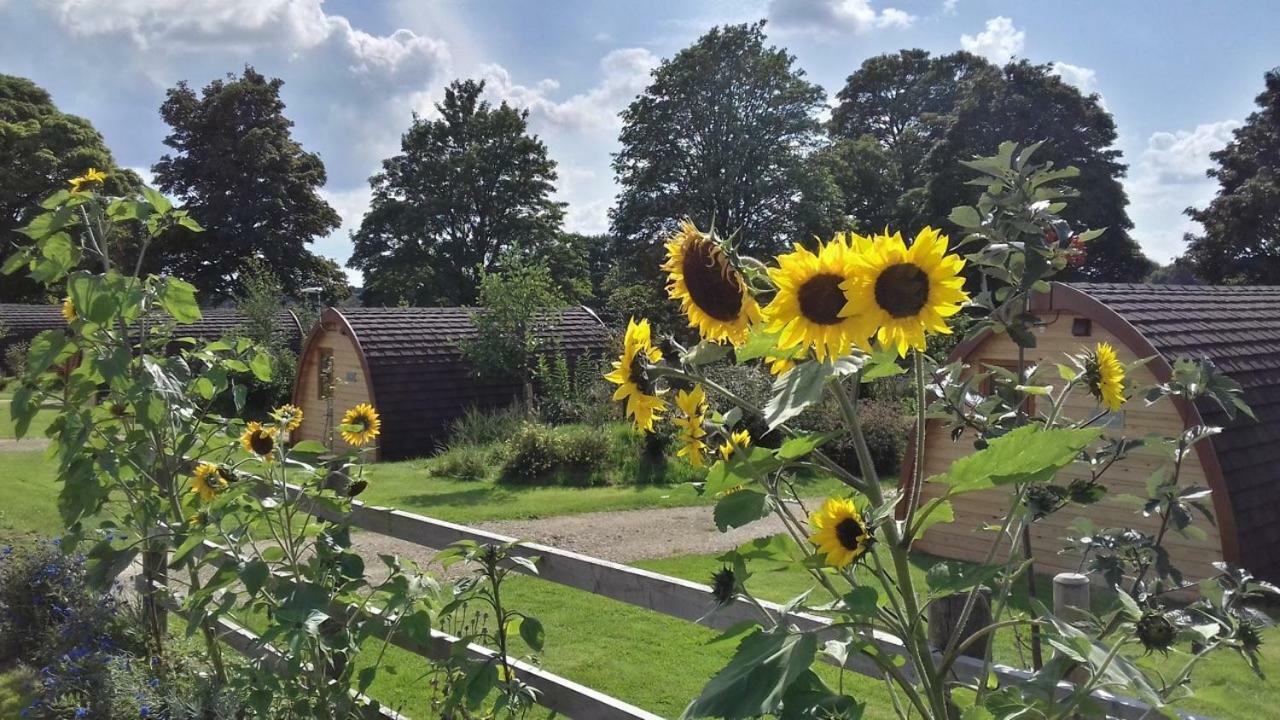 Mallow Glamping Pod Cheltenham Bagian luar foto